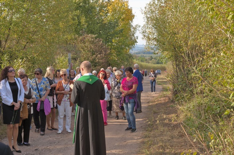 Z wizytą u Matki Bożej w Zielonej Dolinie