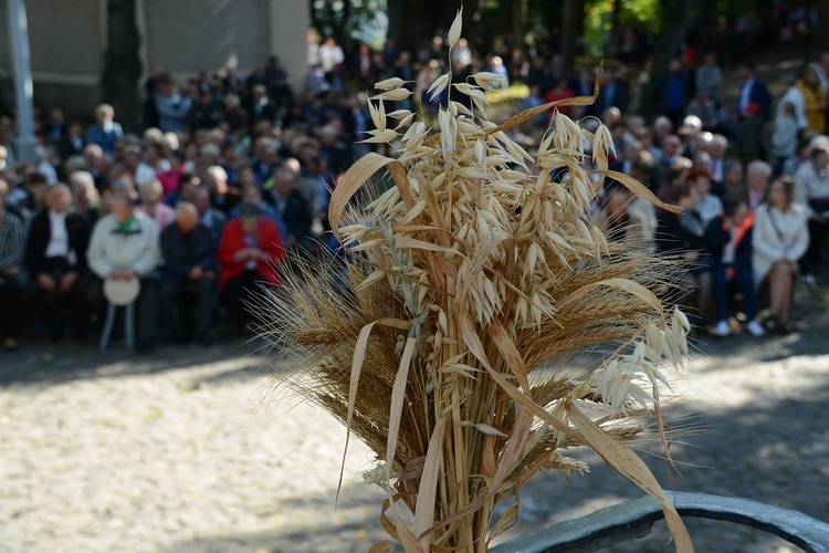 Diecezjalne dożynki na Górze św. Anny