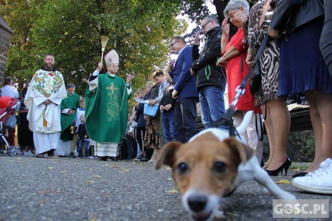 Akcja "Kromka chleba dla sąsiada" i Niedziela św. Franciszka w Jaczowie