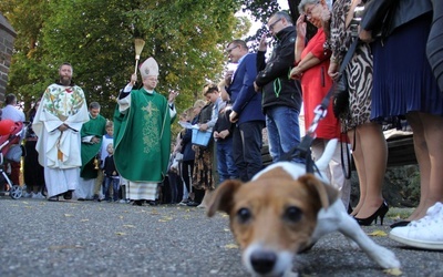 Akcja "Kromka chleba dla sąsiada" i Niedziela św. Franciszka w Jaczowie