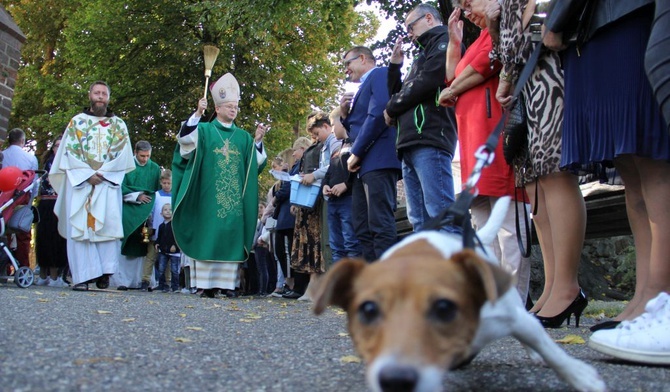 Akcja "Kromka chleba dla sąsiada" i Niedziela św. Franciszka w Jaczowie