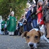 Akcja "Kromka chleba dla sąsiada" i Niedziela św. Franciszka w Jaczowie