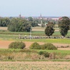 ▲	Pątnicy zmierzali do sanktuarium św. Jadwigi, księżnej legnickiej. 