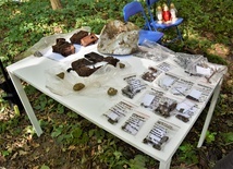 Muzealnicy odnaleźli szczątki obrońcy Westerplatte