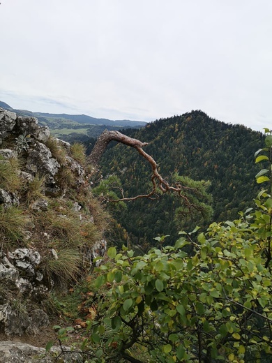 Górska Pielgrzymka Szlakiem św. Kingi - dzień 2.