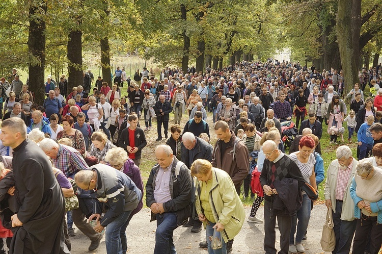 12. Pielgrzymka Rodzin Diecezji Bielsko-Żywieckiej do Kalwarii Zebrzydowskiej - 2019, cz. 2