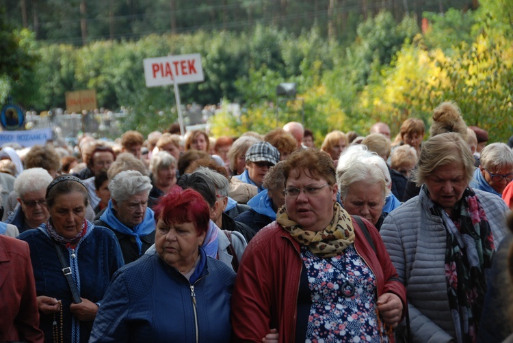 XV Pielgrzymka Kół Żywego Różańca do Domaniewic