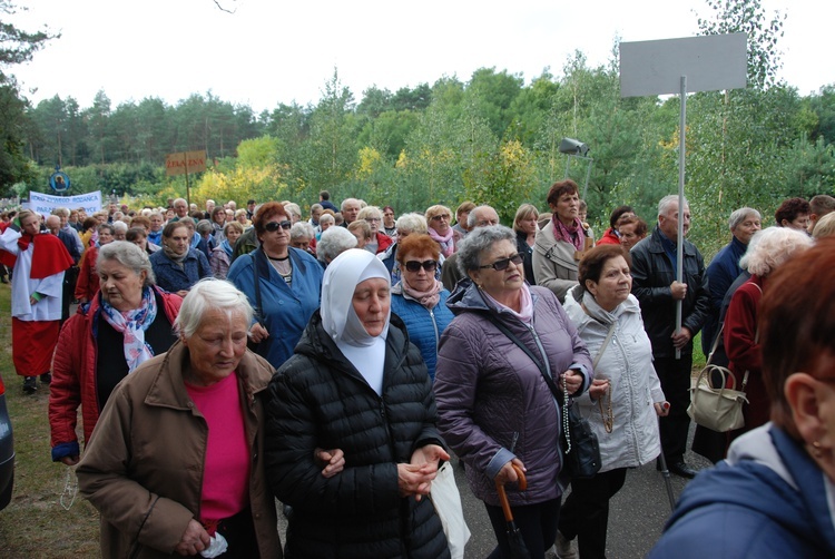 XV Pielgrzymka Kół Żywego Różańca do Domaniewic