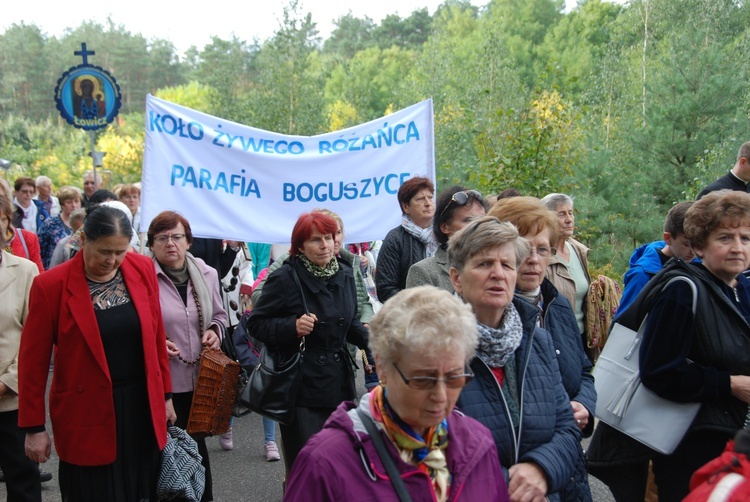 XV Pielgrzymka Kół Żywego Różańca do Domaniewic