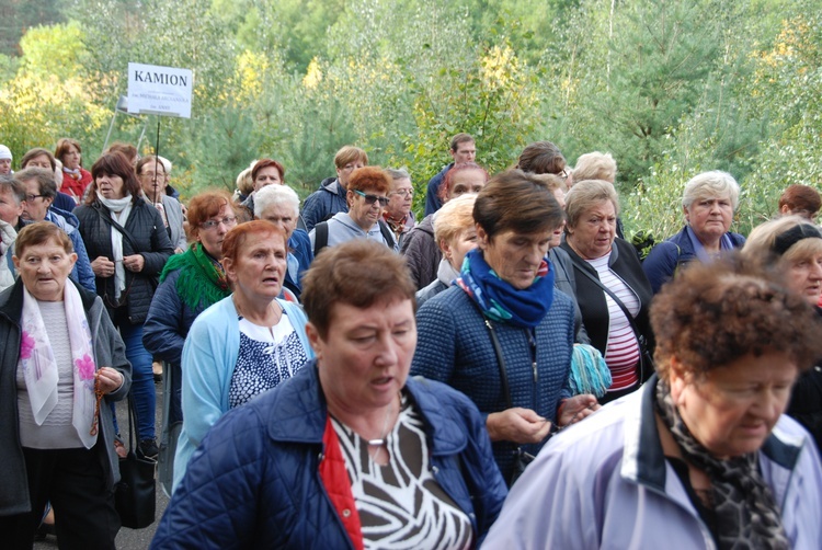 XV Pielgrzymka Kół Żywego Różańca do Domaniewic