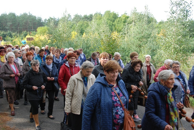 XV Pielgrzymka Kół Żywego Różańca do Domaniewic