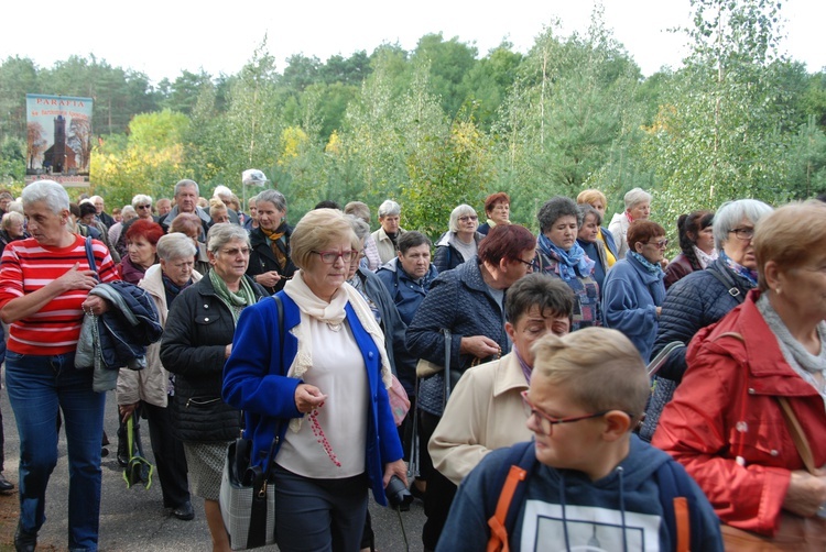 XV Pielgrzymka Kół Żywego Różańca do Domaniewic