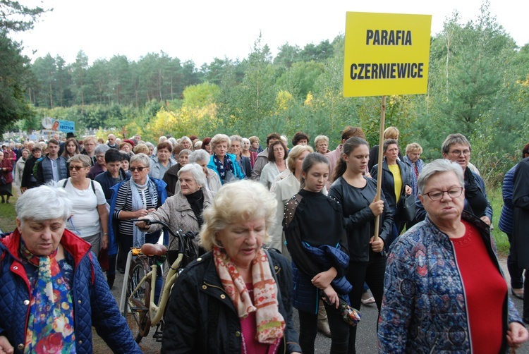 XV Pielgrzymka Kół Żywego Różańca do Domaniewic