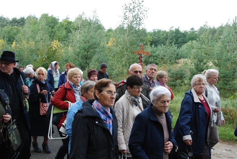 XV Pielgrzymka Kół Żywego Różańca do Domaniewic