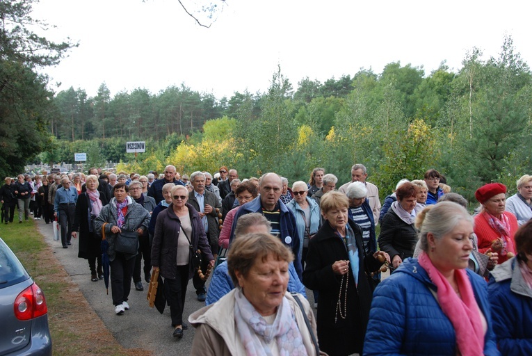 XV Pielgrzymka Kół Żywego Różańca do Domaniewic