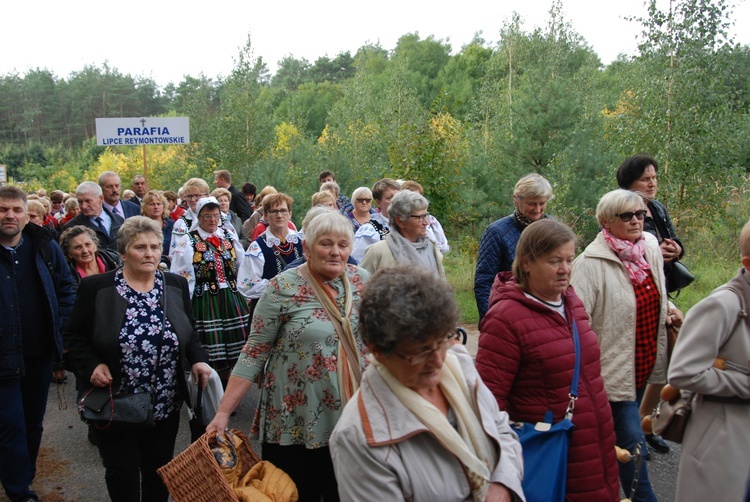 XV Pielgrzymka Kół Żywego Różańca do Domaniewic