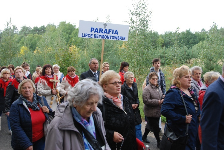 XV Pielgrzymka Kół Żywego Różańca do Domaniewic