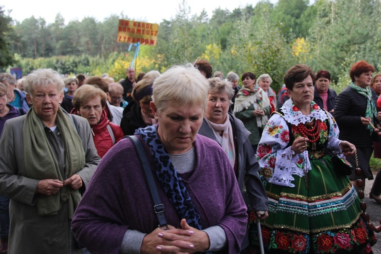 XV Pielgrzymka Kół Żywego Różańca do Domaniewic