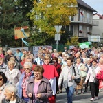 XV Pielgrzymka Kół Żywego Różańca do Domaniewic