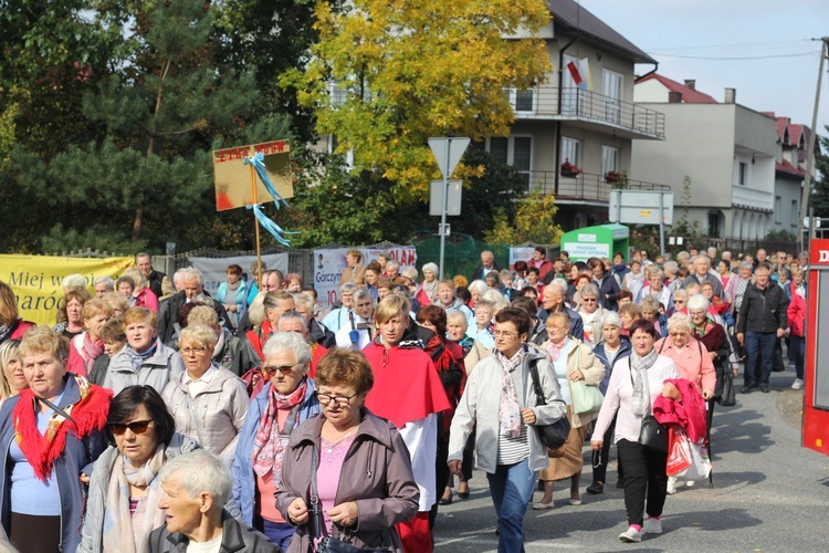 XV Pielgrzymka Kół Żywego Różańca do Domaniewic