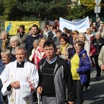 XV Pielgrzymka Kół Żywego Różańca do Domaniewic