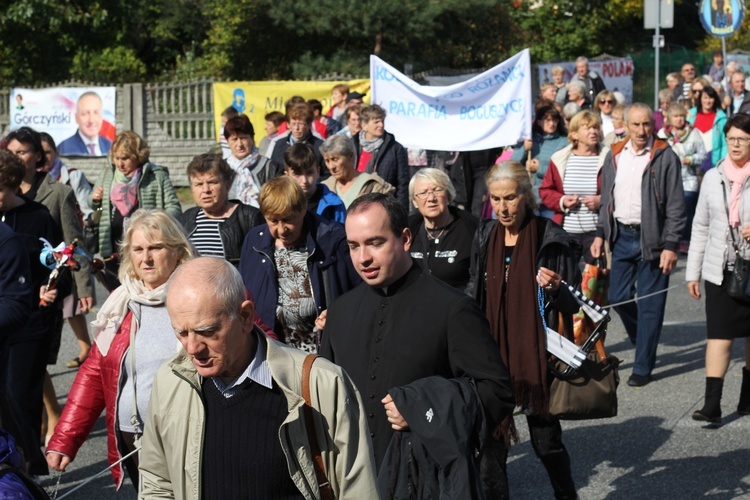 XV Pielgrzymka Kół Żywego Różańca do Domaniewic