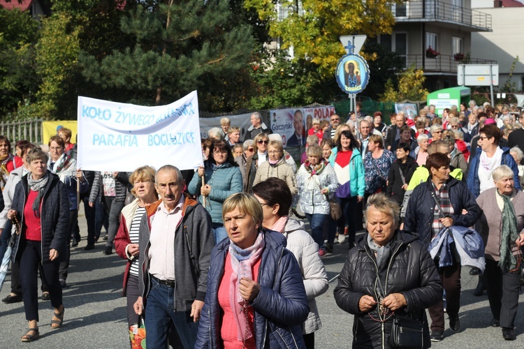 XV Pielgrzymka Kół Żywego Różańca do Domaniewic