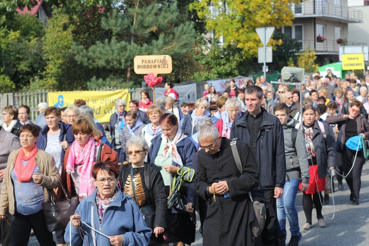 XV Pielgrzymka Kół Żywego Różańca do Domaniewic