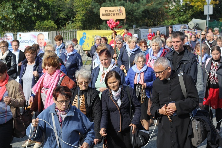 XV Pielgrzymka Kół Żywego Różańca do Domaniewic