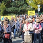 XV Pielgrzymka Kół Żywego Różańca do Domaniewic