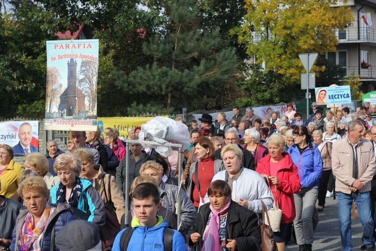 XV Pielgrzymka Kół Żywego Różańca do Domaniewic