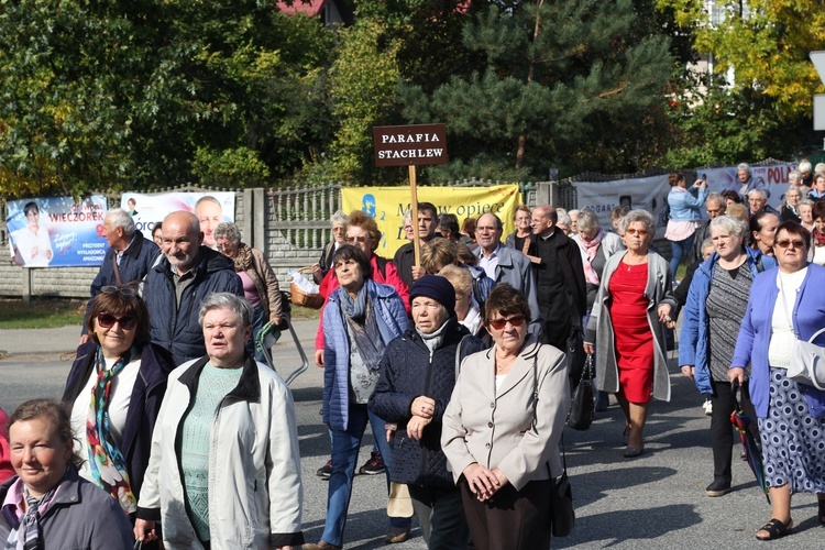 XV Pielgrzymka Kół Żywego Różańca do Domaniewic