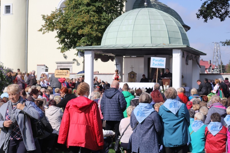 XV Pielgrzymka Kół Żywego Różańca do Domaniewic