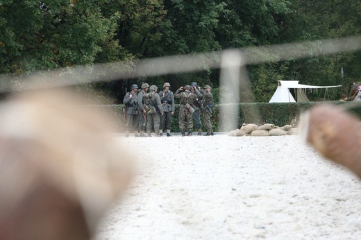 Pola Chwały w Niepołomicach