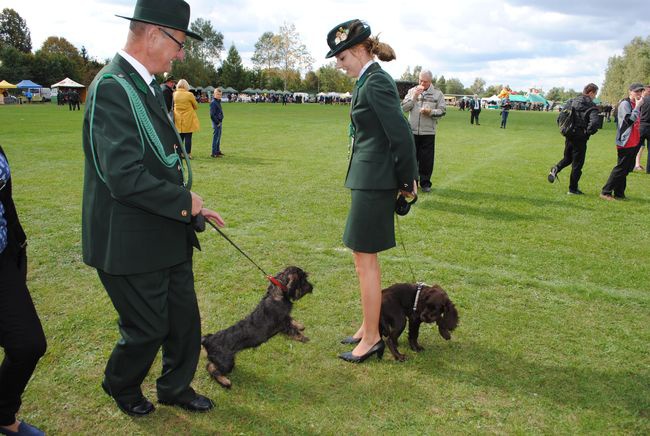 IV Nadsański Hubertus