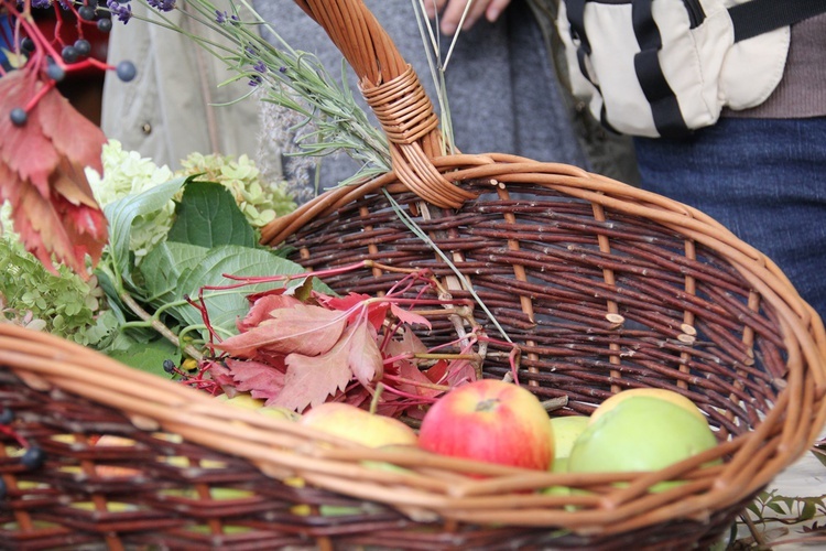 Piknik parafialny na Muchoborze Wielkim