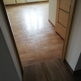 Dewastacja Domu Samotnej Matki w Koszalinie