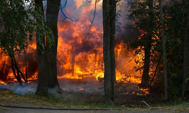 Od słowa do słowa - pożoga gotowa