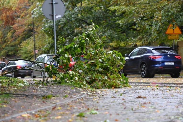 295 tys. odbiorców bez prądu, najwięcej w woj. mazowieckim