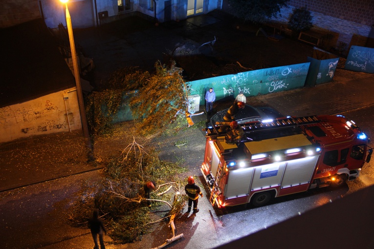 Strażacy usunęli w Radomiu m.in. brzozę przewróconą przez wichurę przy ul. Kanałowej.