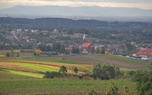 Pogrzebień. Niesamowite widoki z nowej wieży