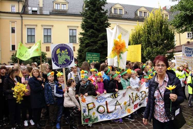 Międzypokoleniowy Żonkilowy Marsz Nadziei 2019