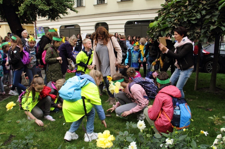 Międzypokoleniowy Żonkilowy Marsz Nadziei 2019