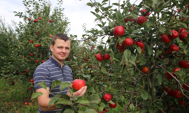 Dobre zbiory i dobra cena 