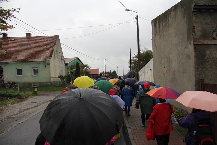 Pielgrzymka jadwiżańska z Brzegu Dolnego do Łososiowic