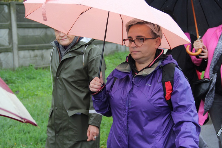 Pielgrzymka jadwiżańska z Brzegu Dolnego do Łososiowic