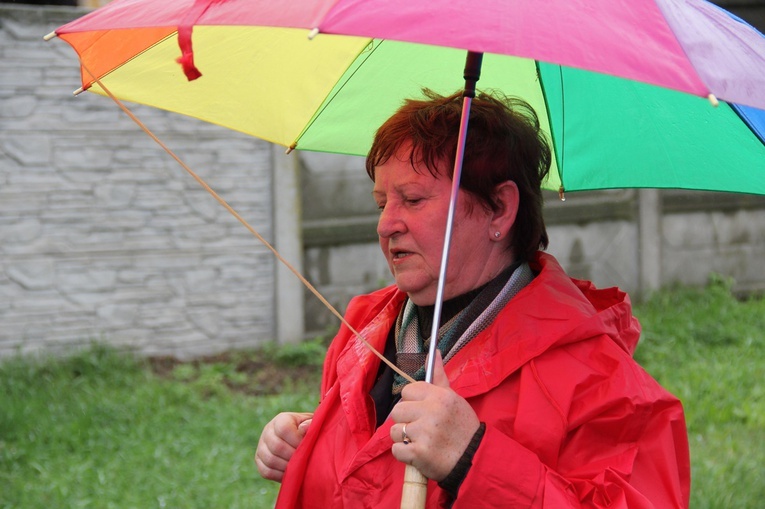 Pielgrzymka jadwiżańska z Brzegu Dolnego do Łososiowic