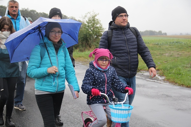 Pielgrzymka jadwiżańska z Brzegu Dolnego do Łososiowic