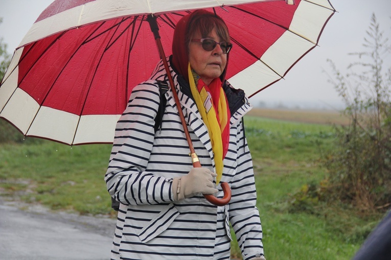 Pielgrzymka jadwiżańska z Brzegu Dolnego do Łososiowic