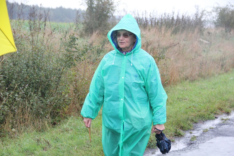 Pielgrzymka jadwiżańska z Brzegu Dolnego do Łososiowic